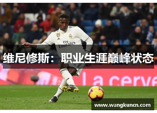 维尼修斯：职业生涯巅峰状态